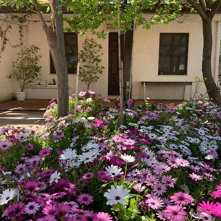 Casa Tranquilla A Pochissimi Passi Dal Mare Villa Sant'Andrea  Bagian luar foto