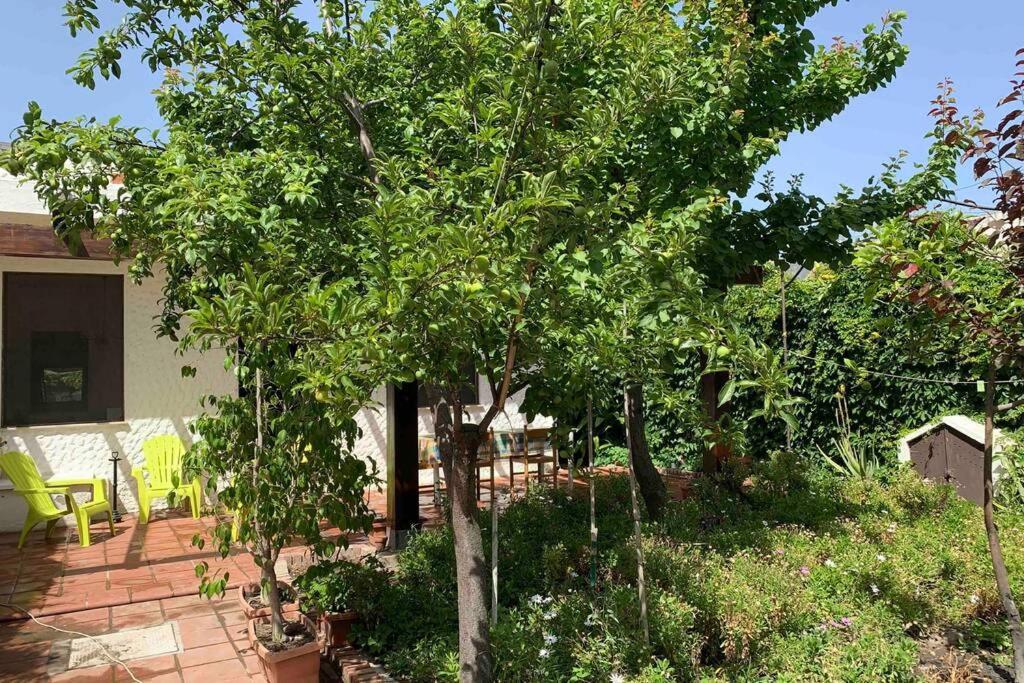 Casa Tranquilla A Pochissimi Passi Dal Mare Villa Sant'Andrea  Bagian luar foto