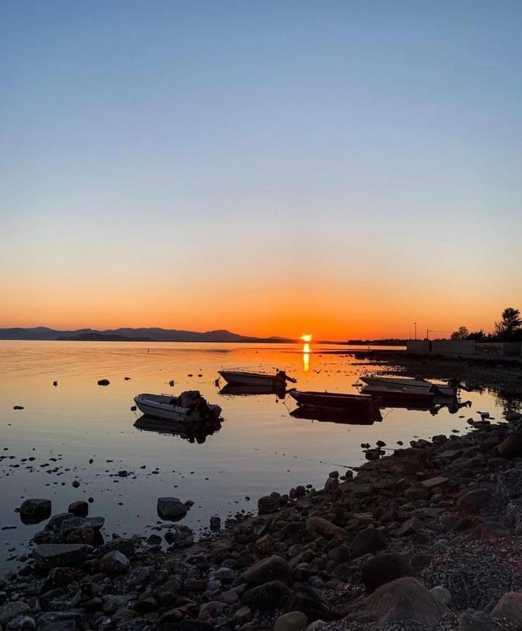 Casa Tranquilla A Pochissimi Passi Dal Mare Villa Sant'Andrea  Bagian luar foto