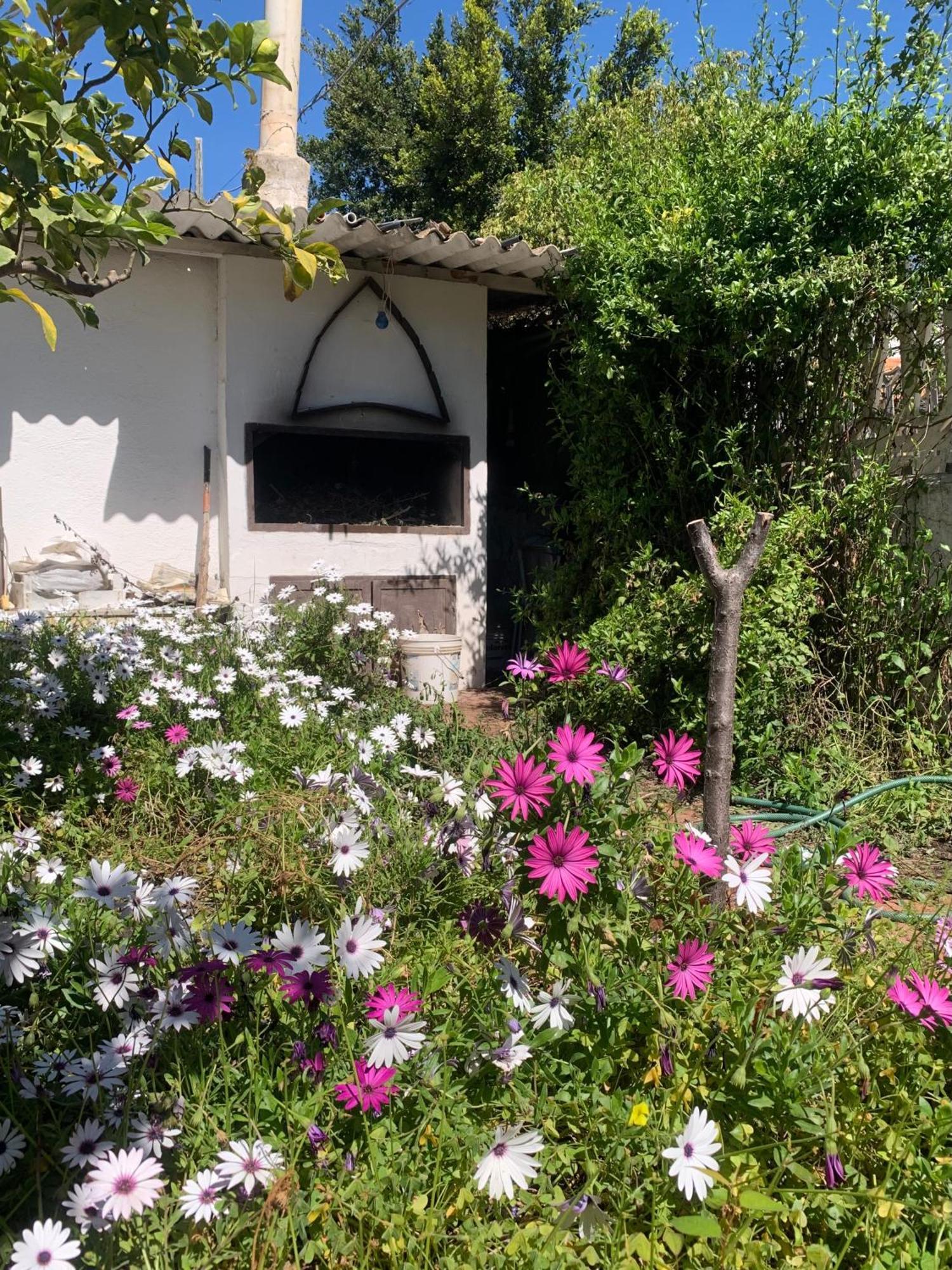 Casa Tranquilla A Pochissimi Passi Dal Mare Villa Sant'Andrea  Bagian luar foto